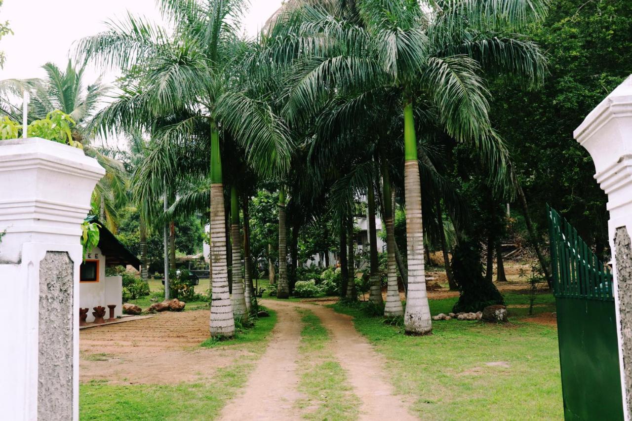 Hotel Sea Avenue - Eco Garden Tangalle Exterior foto