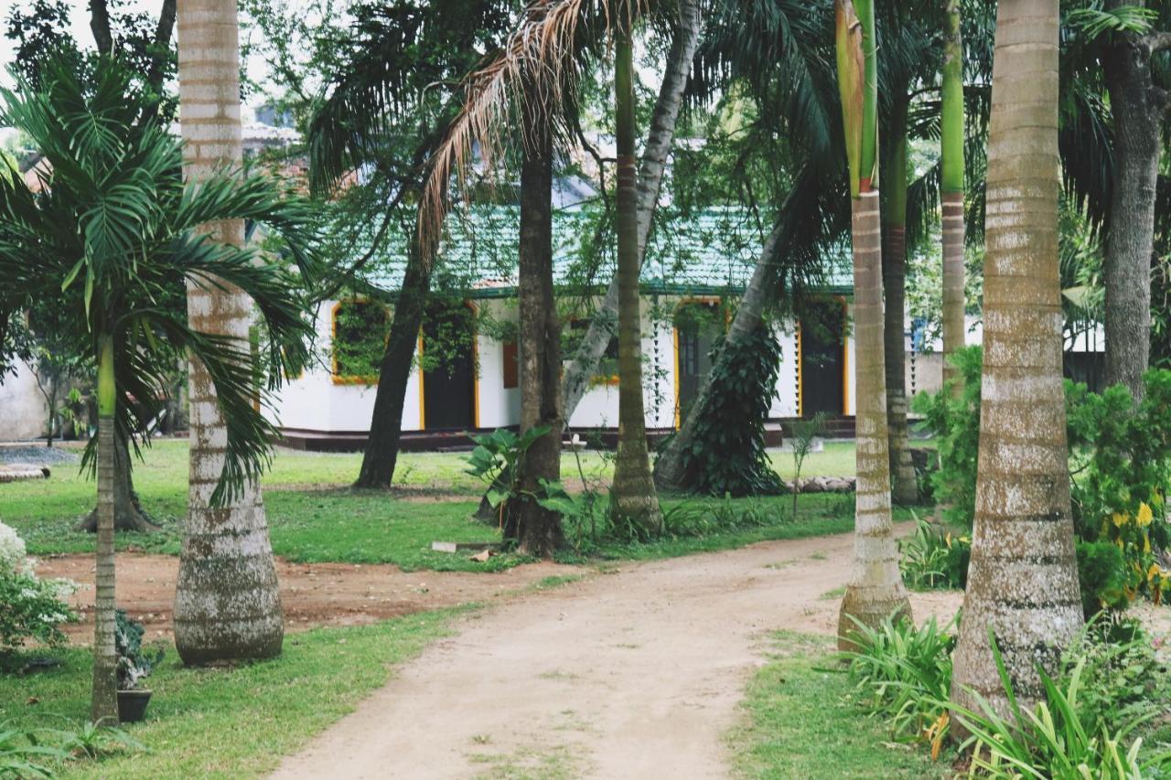 Hotel Sea Avenue - Eco Garden Tangalle Exterior foto