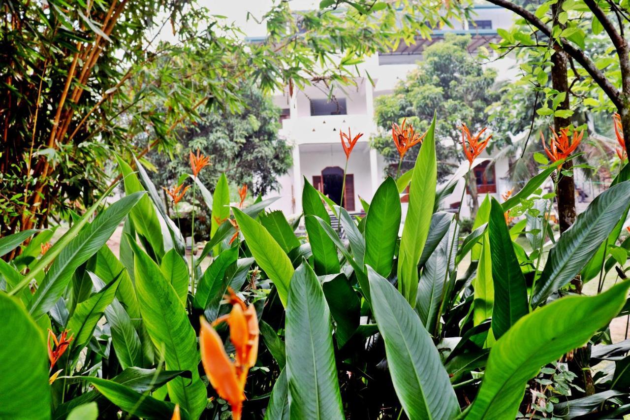 Hotel Sea Avenue - Eco Garden Tangalle Exterior foto
