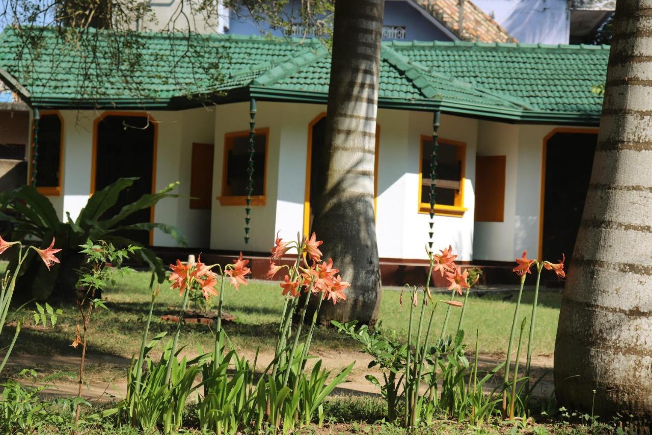 Hotel Sea Avenue - Eco Garden Tangalle Exterior foto
