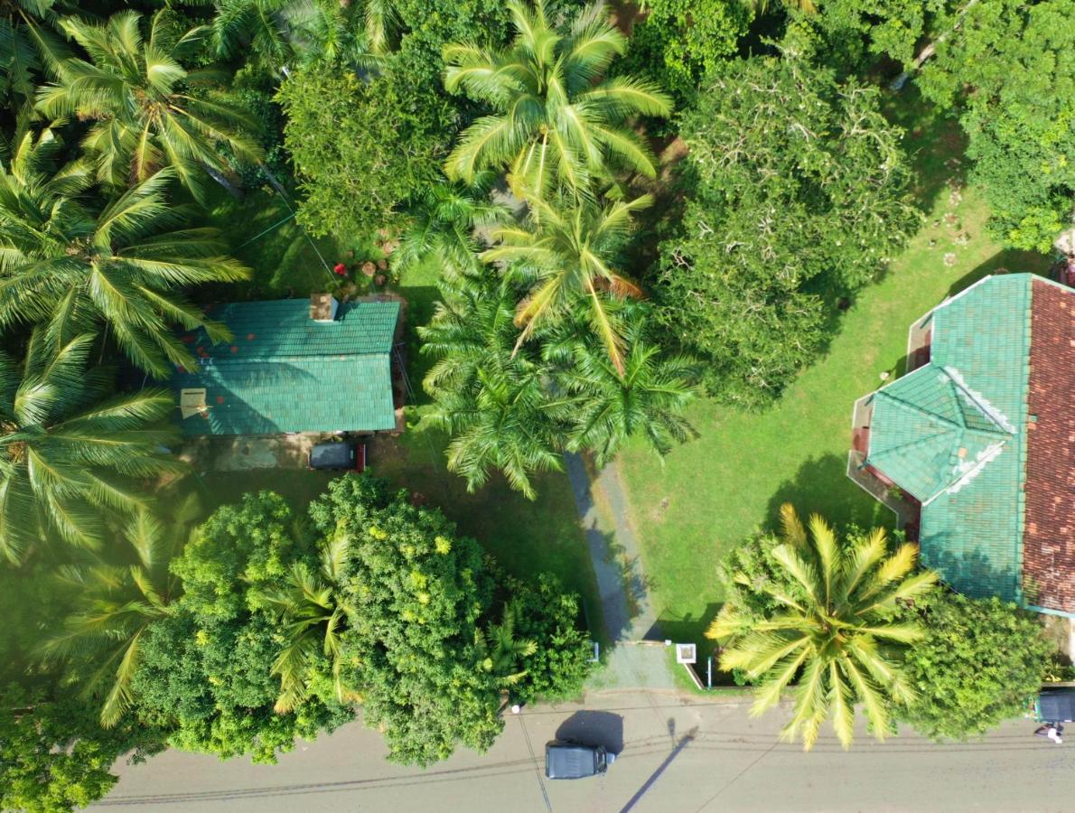 Hotel Sea Avenue - Eco Garden Tangalle Exterior foto